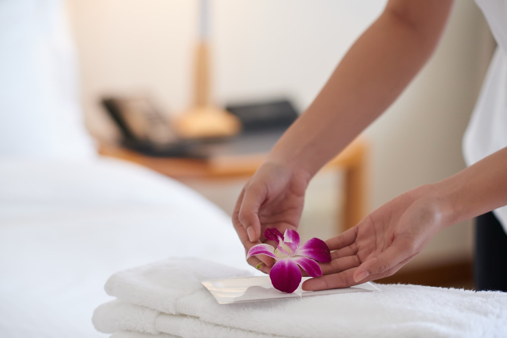 Ruce pokládají orchidej na složené bílé ručníky u postele - detail hotel-standard uvítání pro Airbnb hosty